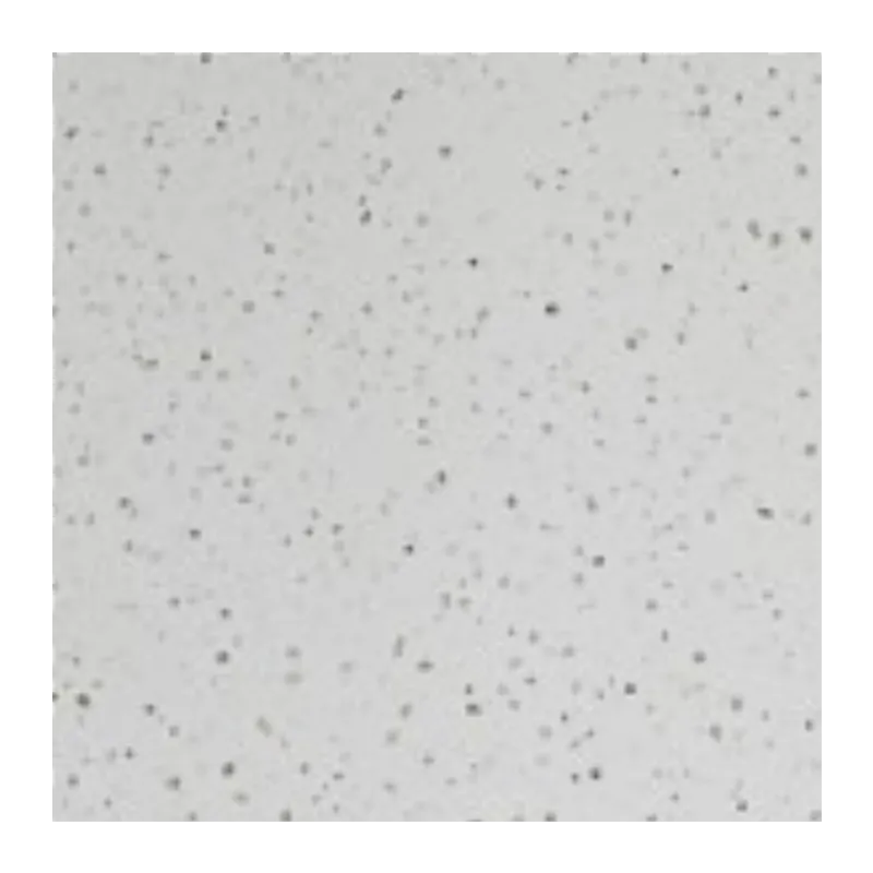 PVC Wall Panel - 2400mm x 1000mm x 10mm