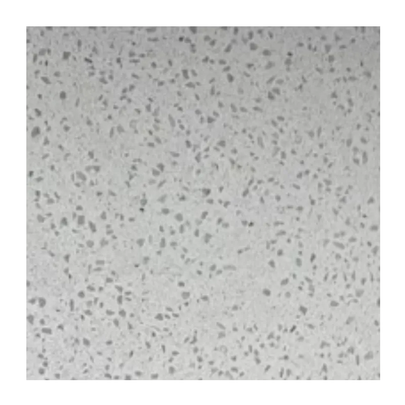 PVC Wall Panel - 2400mm x 1000mm x 10mm