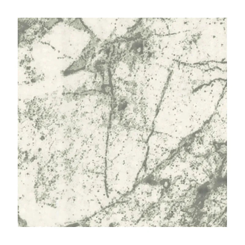 PVC Wall Panel - 2400mm x 1000mm x 10mm