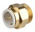 Plumbright 22mm x 1" BSP Brass Male Cylinder Connector DZR