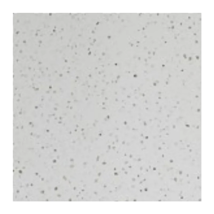 PVC Wall Panel - 2400mm x 1000mm x 10mm