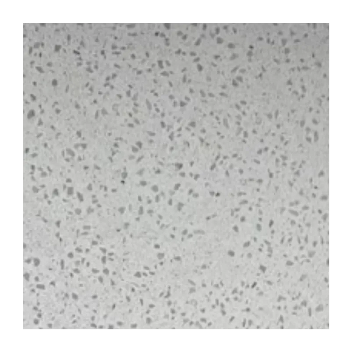 PVC Wall Panel - 2400mm x 1000mm x 10mm