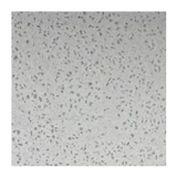 PVC Wall Panel - 2400mm x 1000mm x 10mm